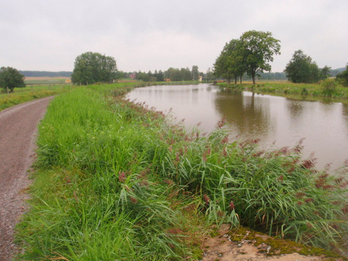 Typical bicycling view along side of the canal.